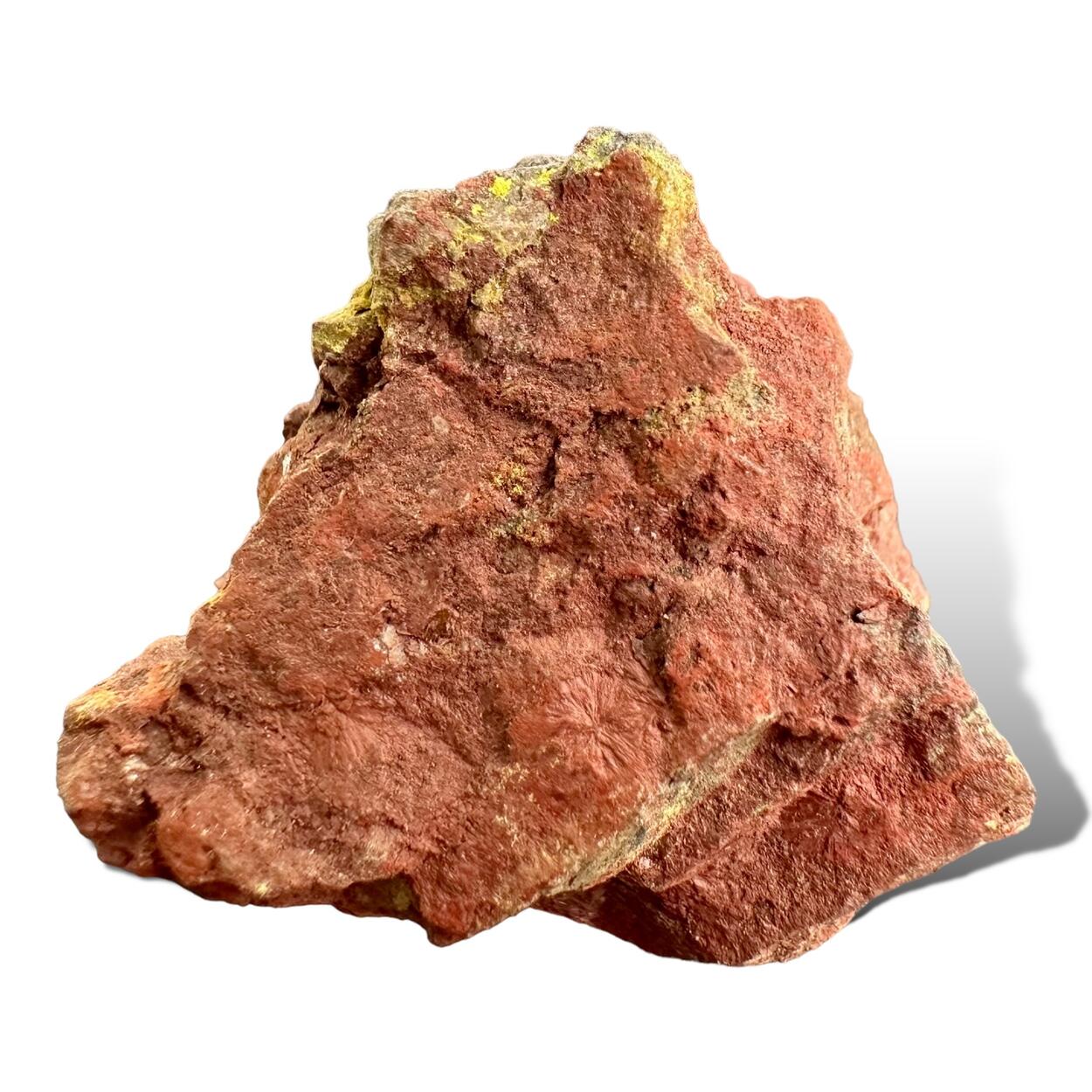 Hewettite & Petrified Wood