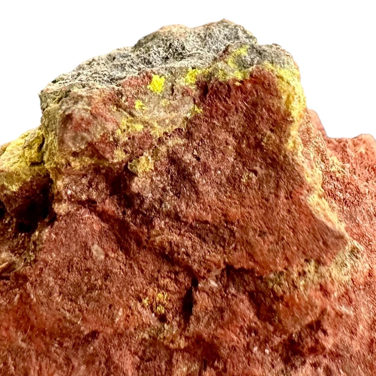 Hewettite & Petrified Wood