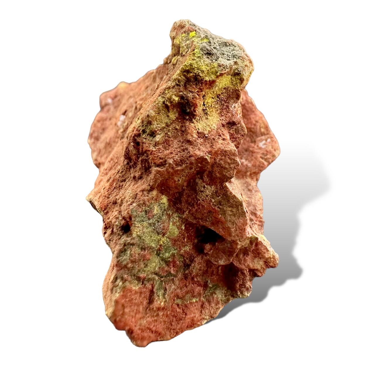 Hewettite & Petrified Wood