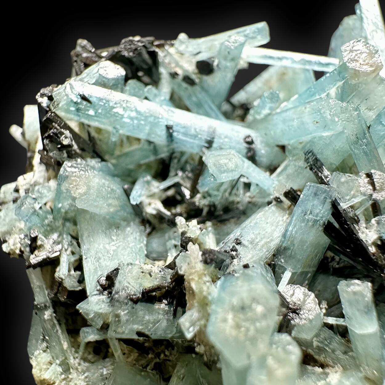 Aquamarine & Schorl