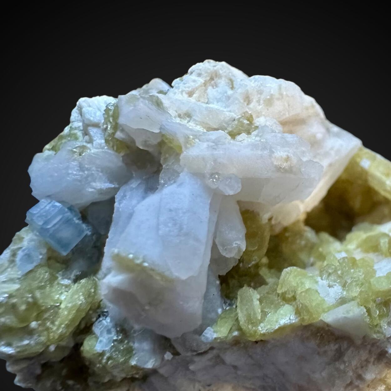 Apatite & Gilbertite