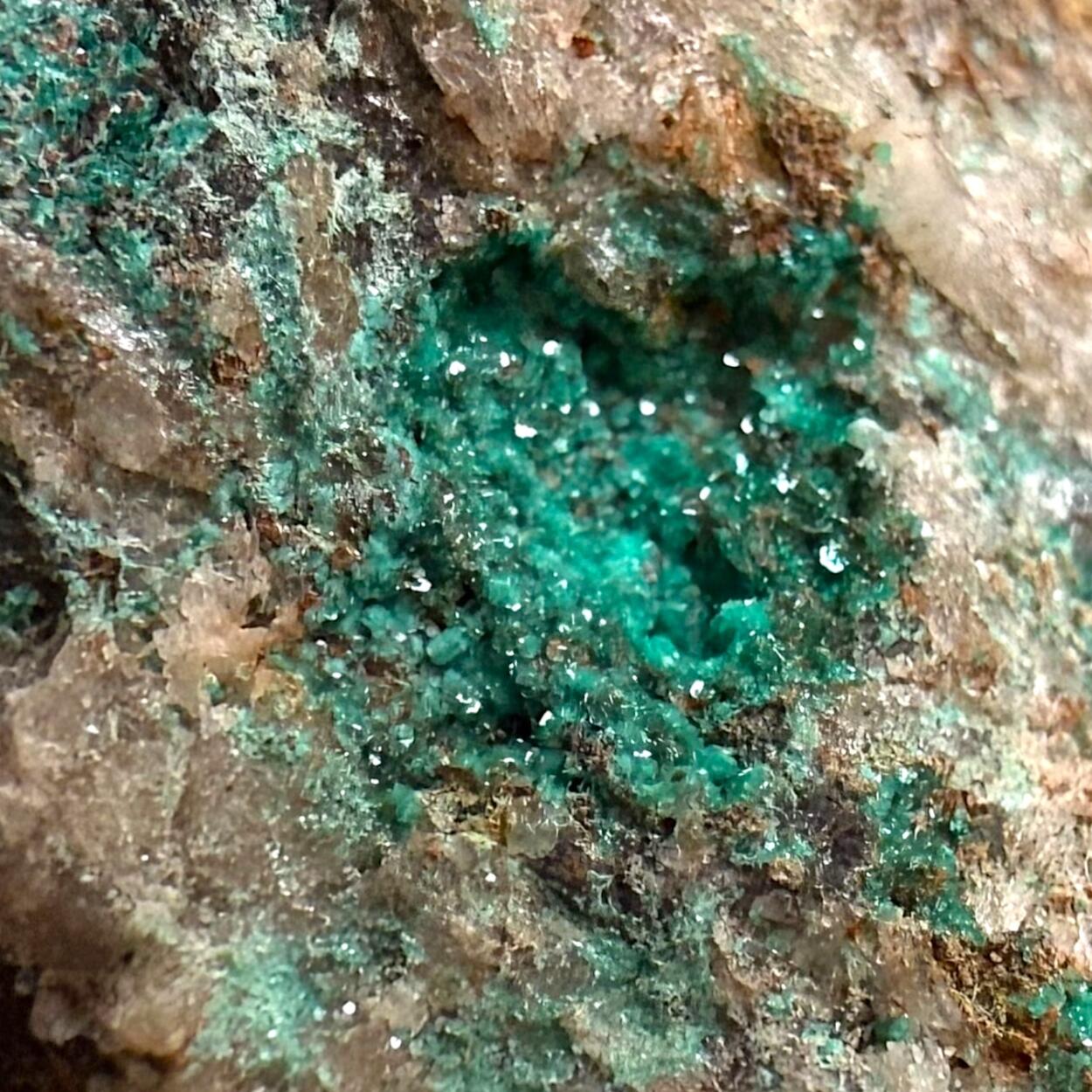 Chalcophyllite