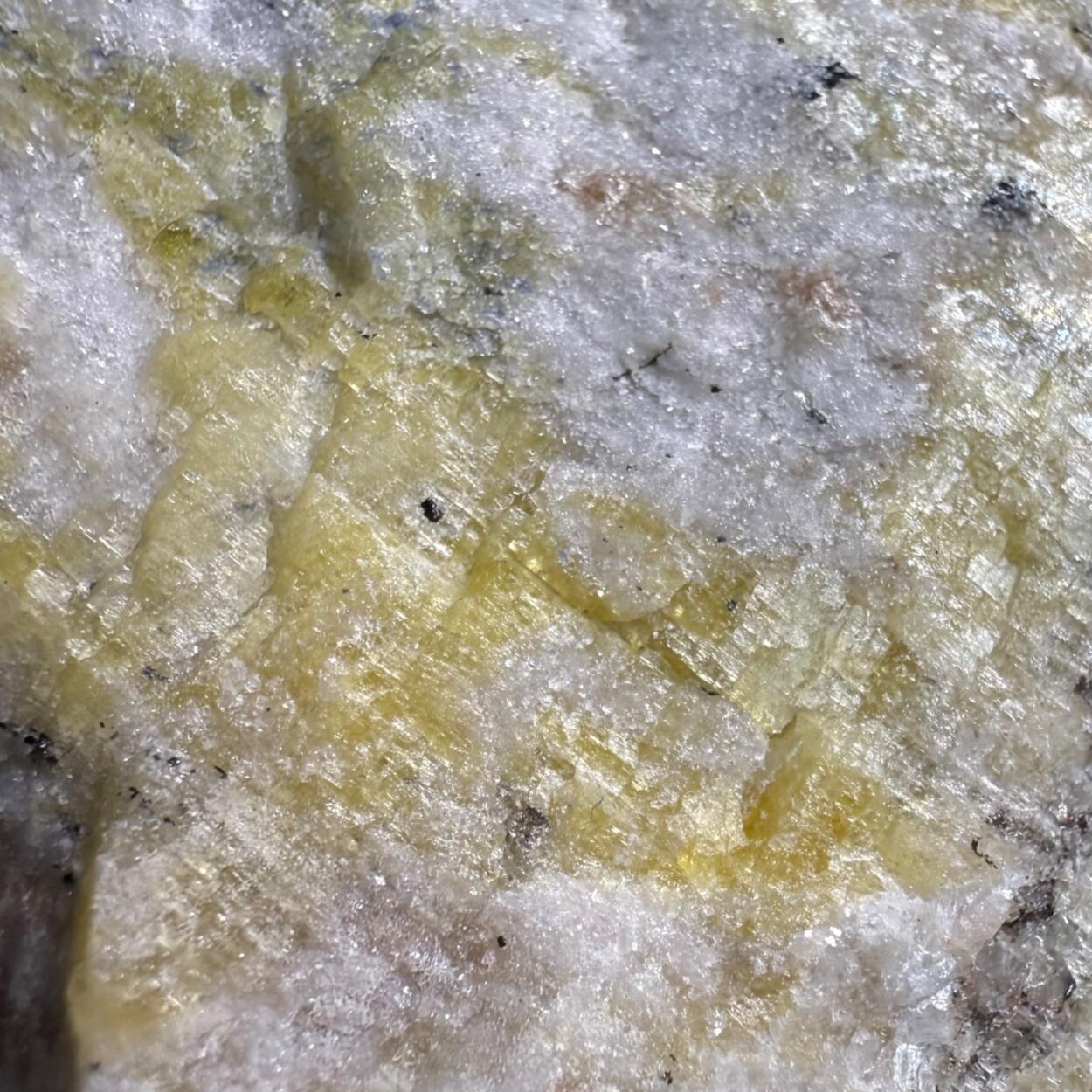 Cancrinite