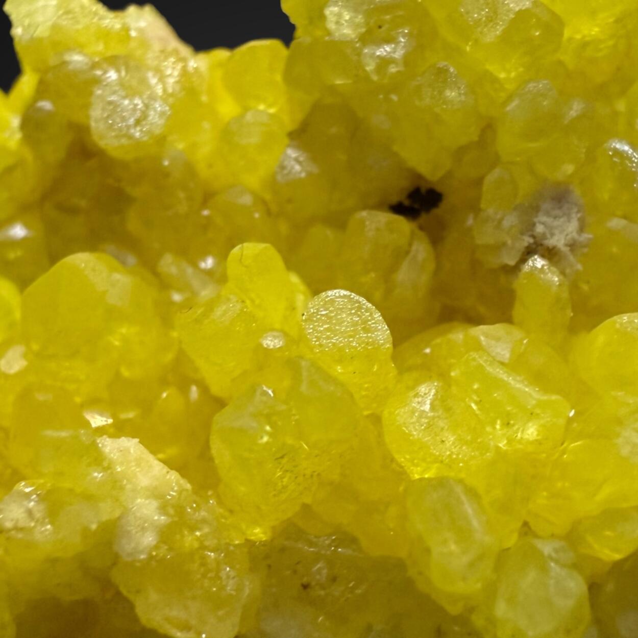 Native Sulphur