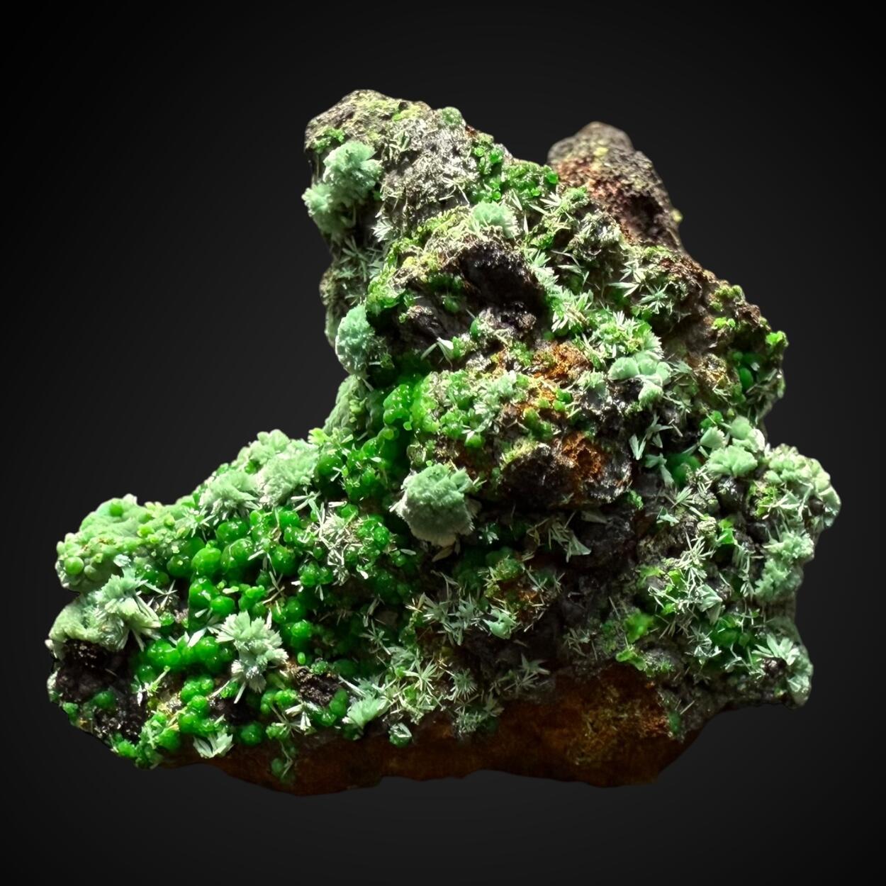 Conichalcite & Cuprian Adamite