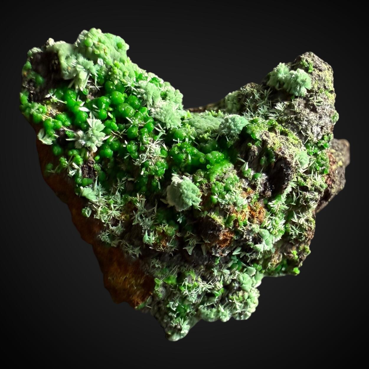 Conichalcite & Cuprian Adamite