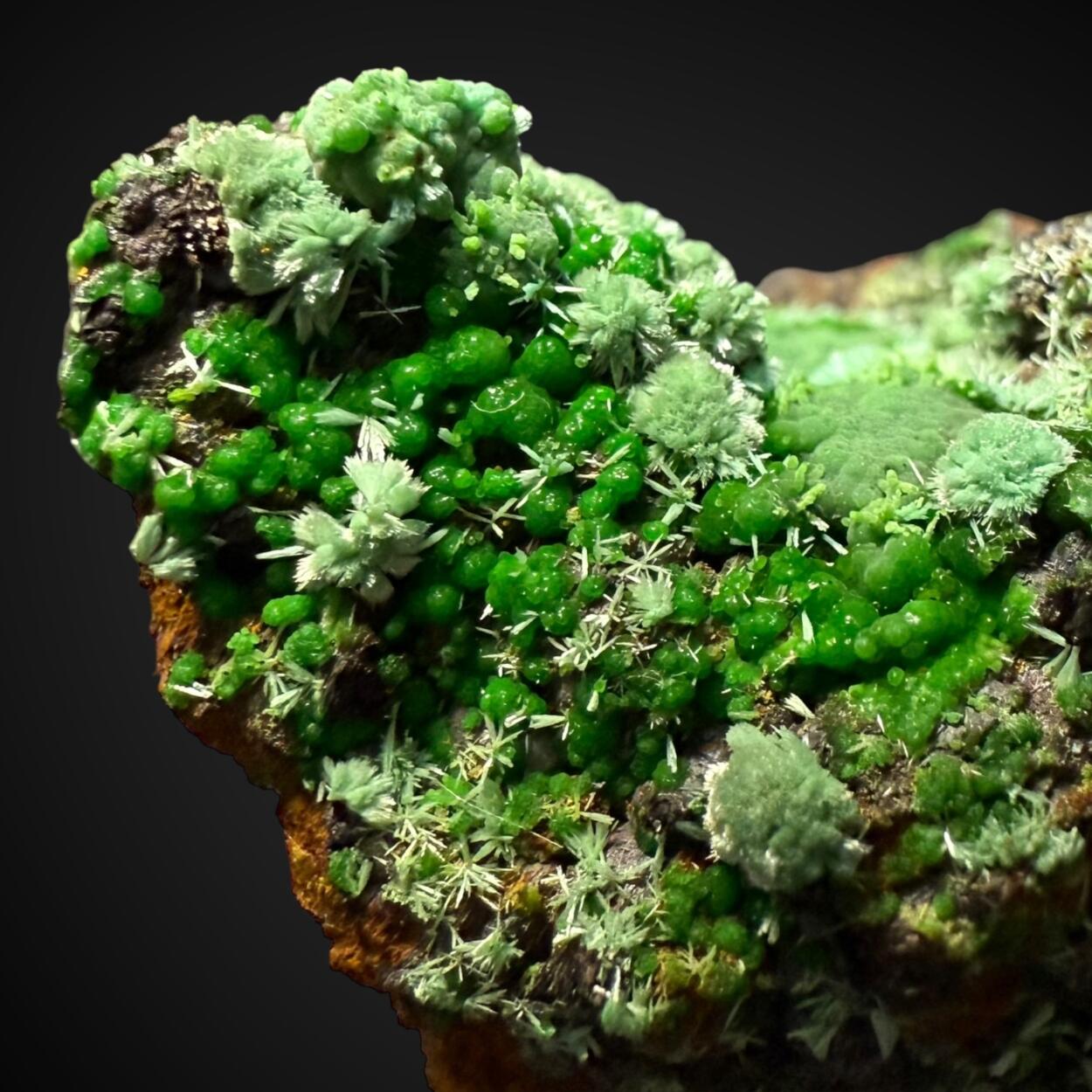 Conichalcite & Cuprian Adamite