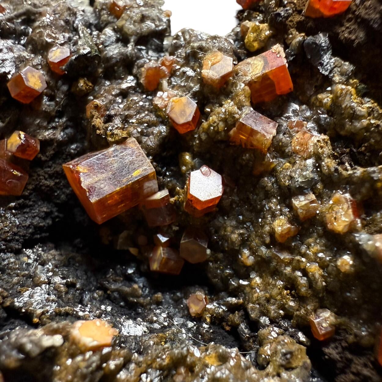 Vanadinite & Gypsum On Cryptomelane