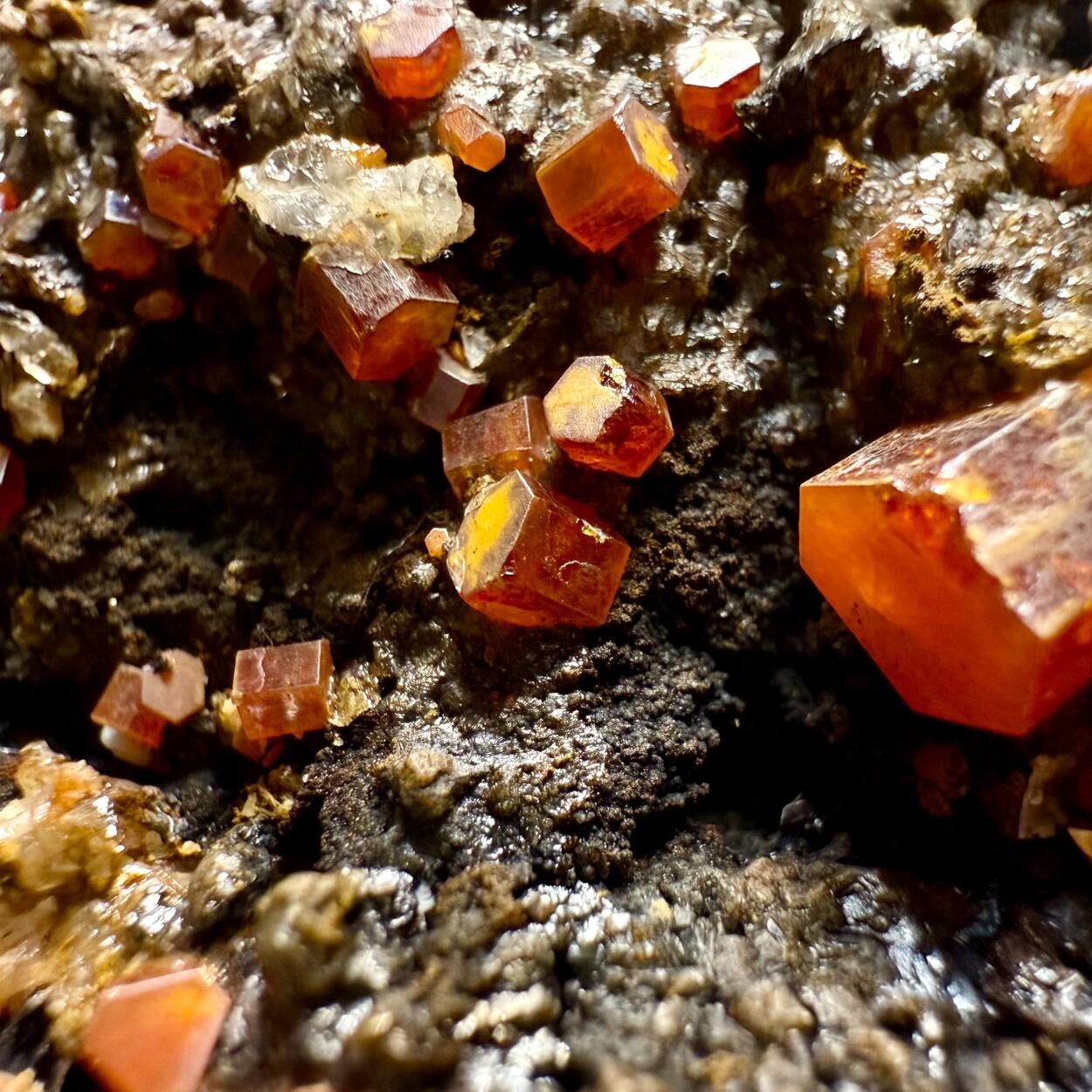 Vanadinite & Gypsum On Cryptomelane