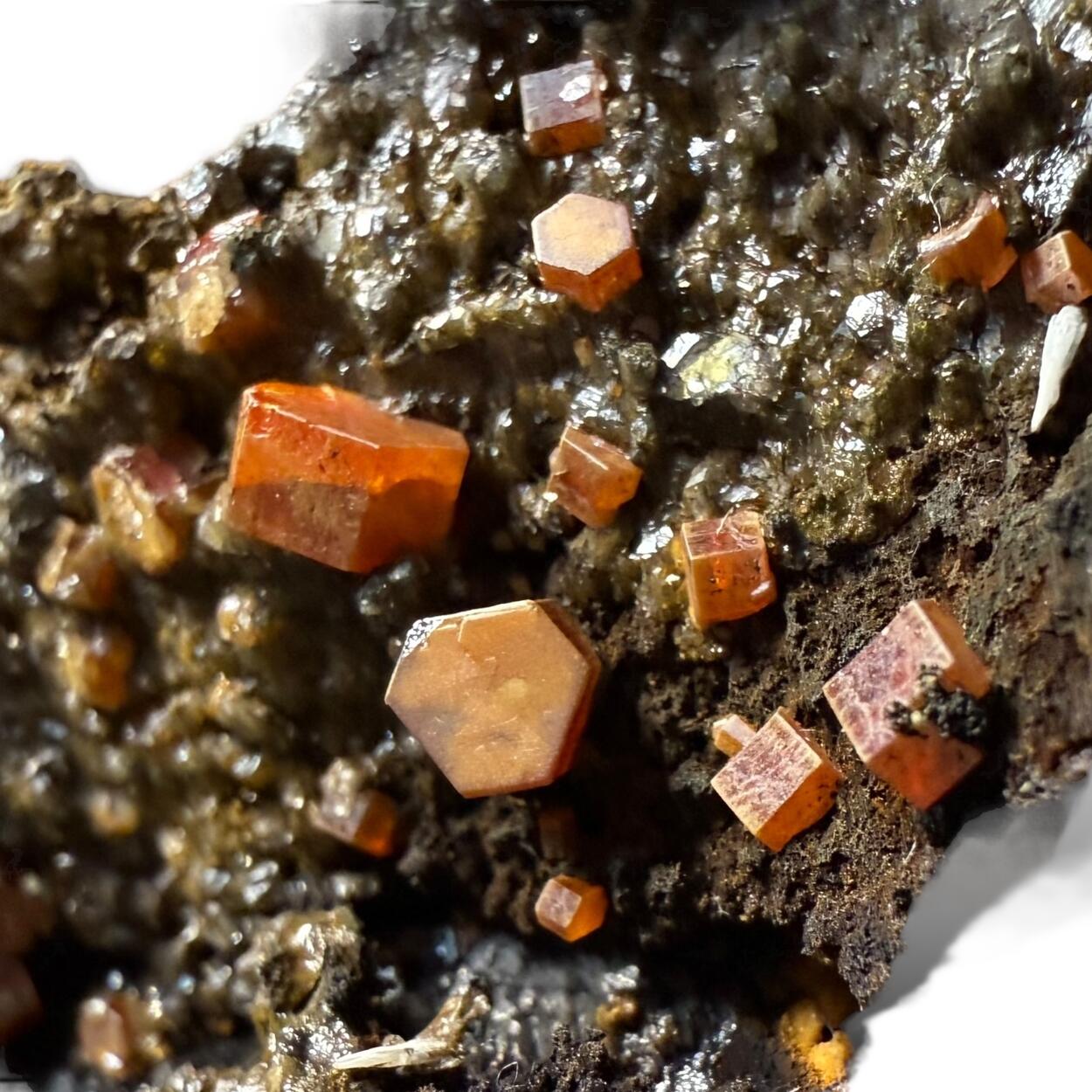 Vanadinite & Gypsum On Cryptomelane