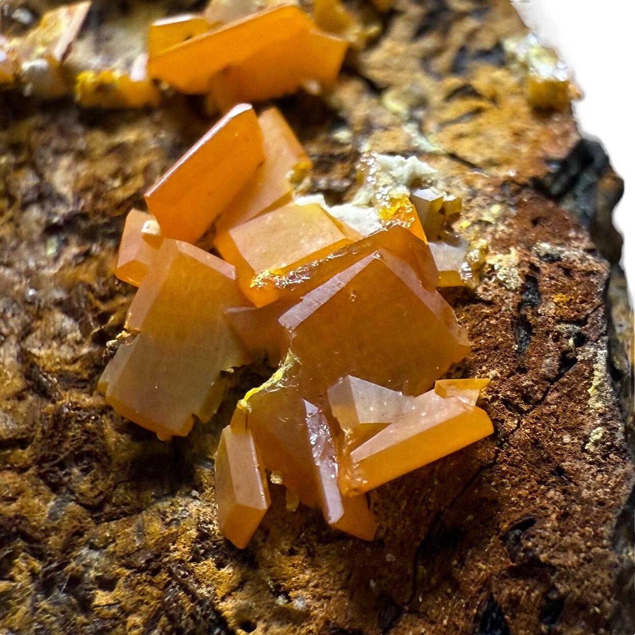 Wulfenite