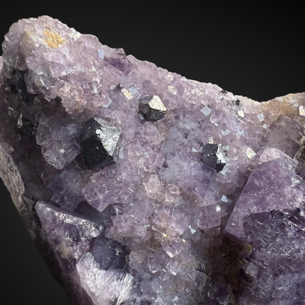 Fluorite & Galena