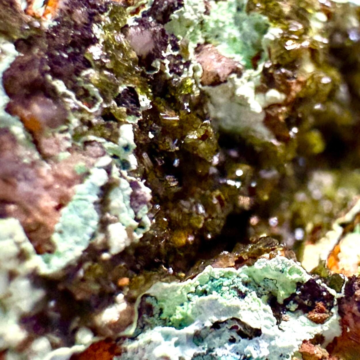 Olivenite & Cornwallite