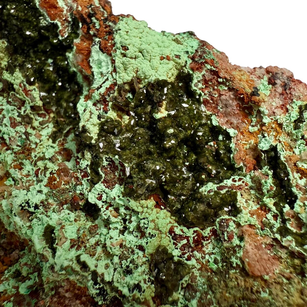 Olivenite & Cornwallite