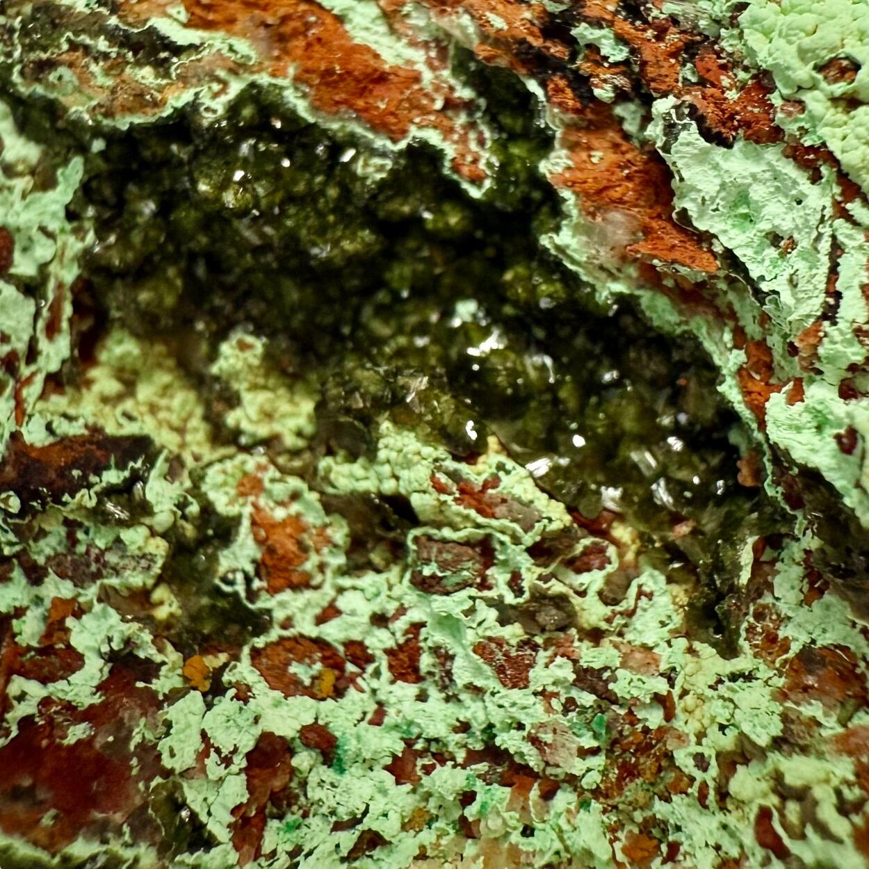 Olivenite & Cornwallite