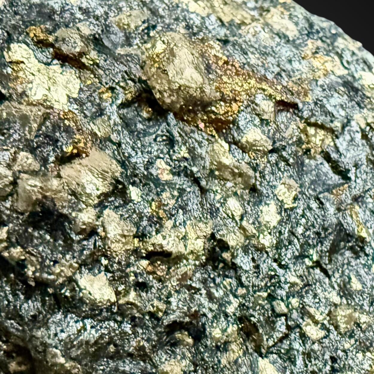 Pyrite Chalcopyrite & Chlorite Schist