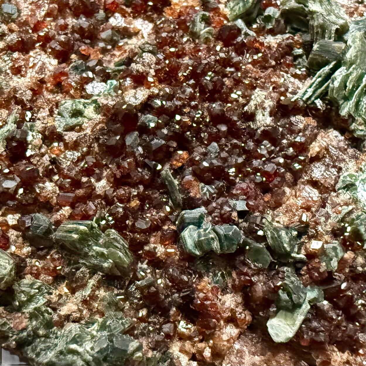 Hessonite & Clinochlore