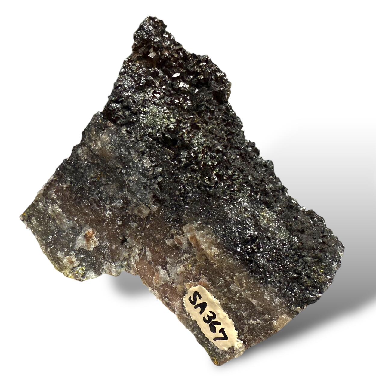 Manganite With Carnotite On Petrified Wood