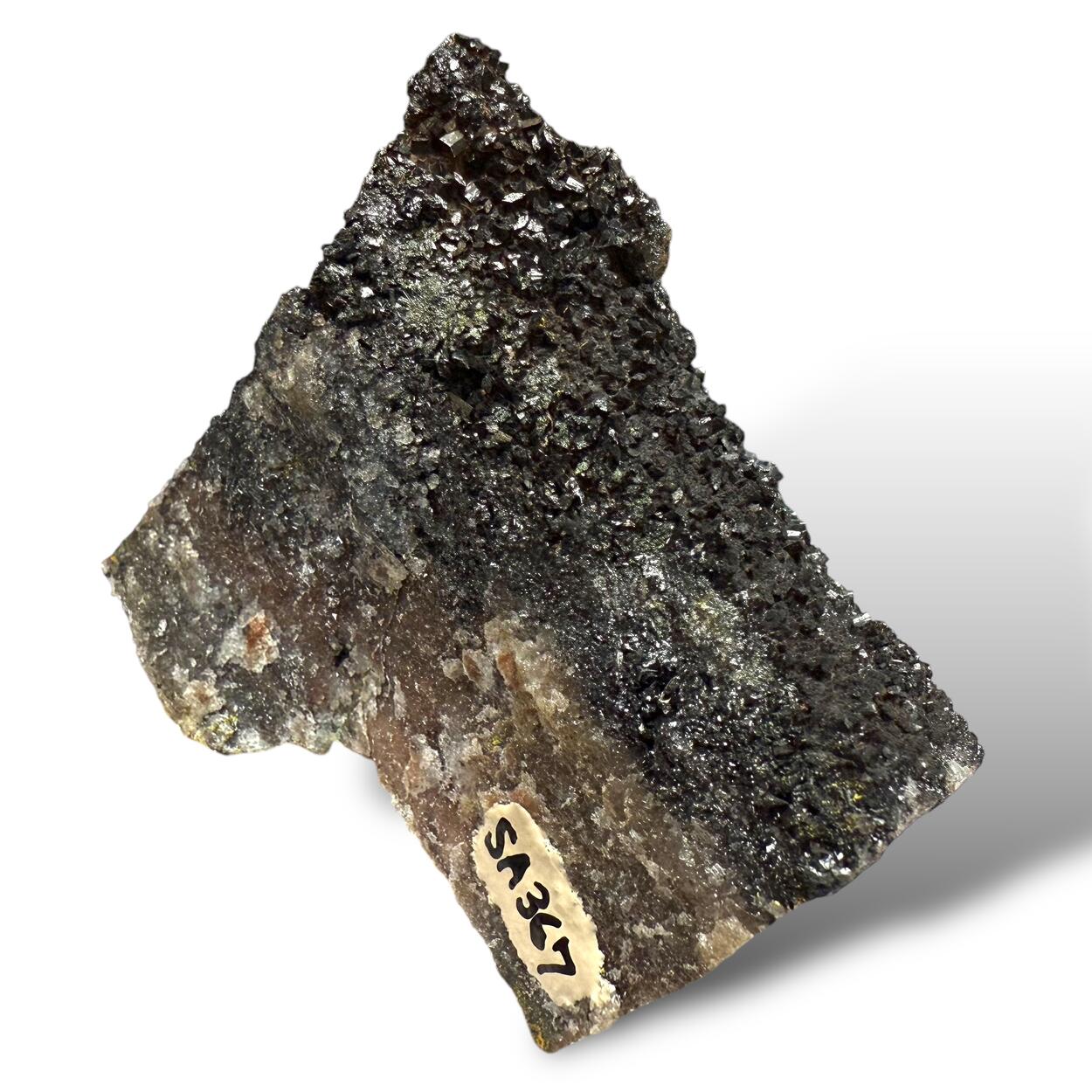 Manganite With Carnotite On Petrified Wood