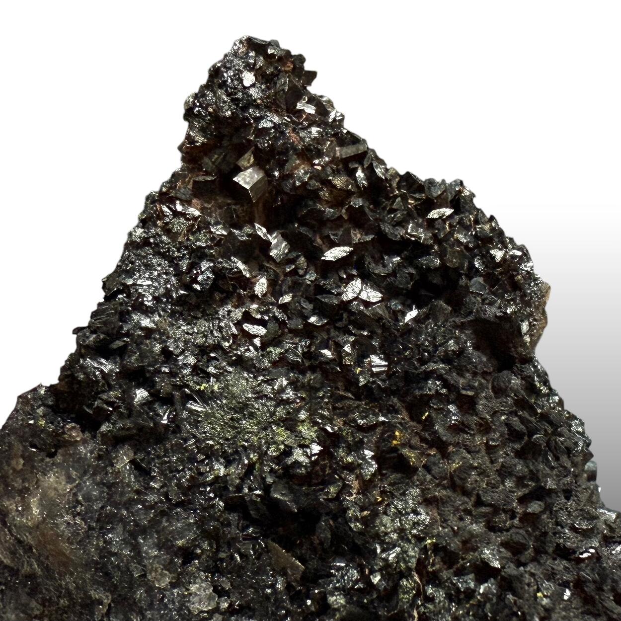 Manganite With Carnotite On Petrified Wood