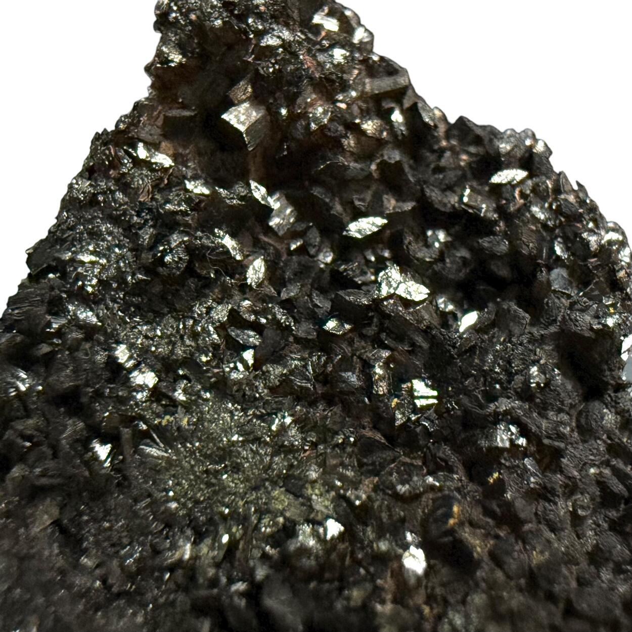 Manganite With Carnotite On Petrified Wood