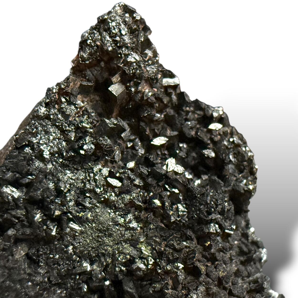 Manganite With Carnotite On Petrified Wood