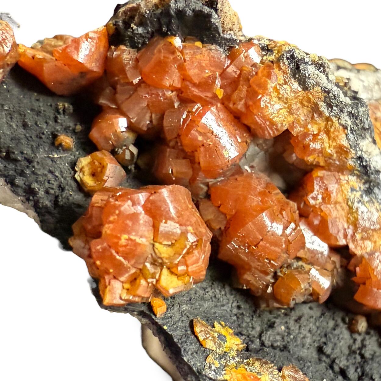 Campylite