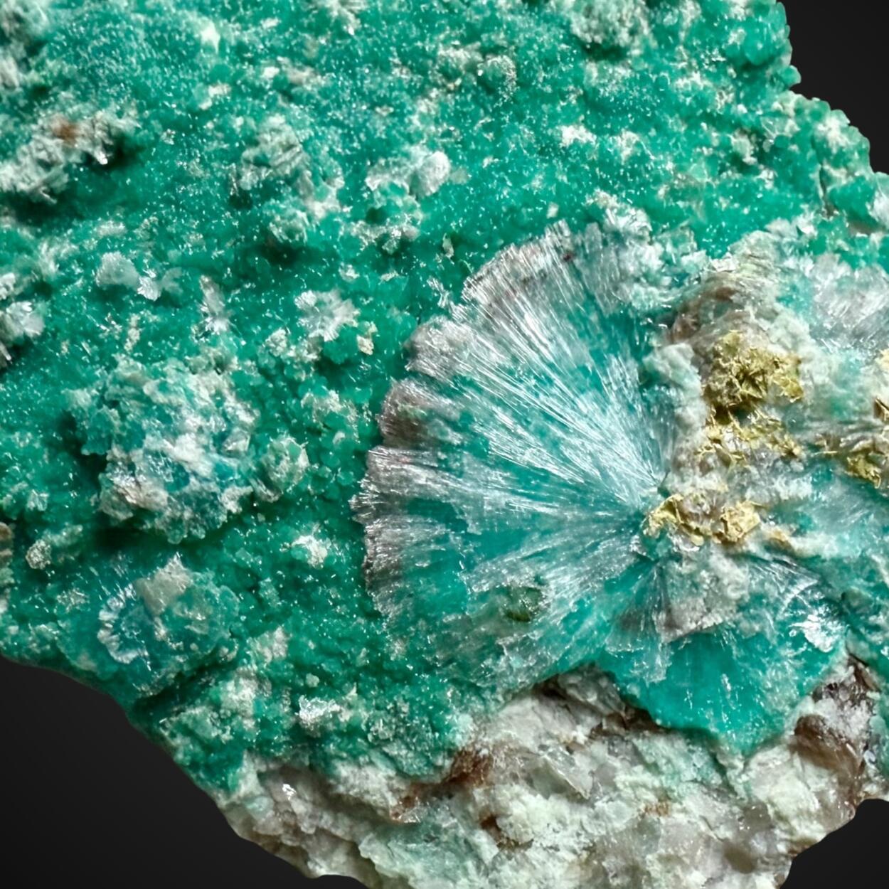 Turquoise & Wavellite