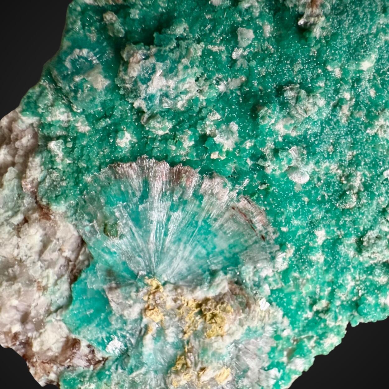 Turquoise & Wavellite