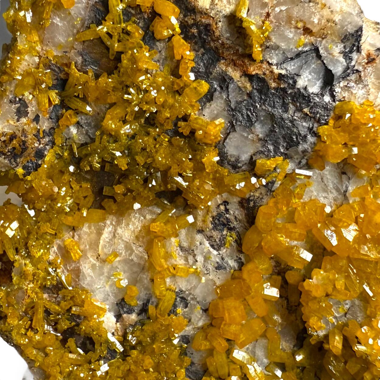 Mimetite