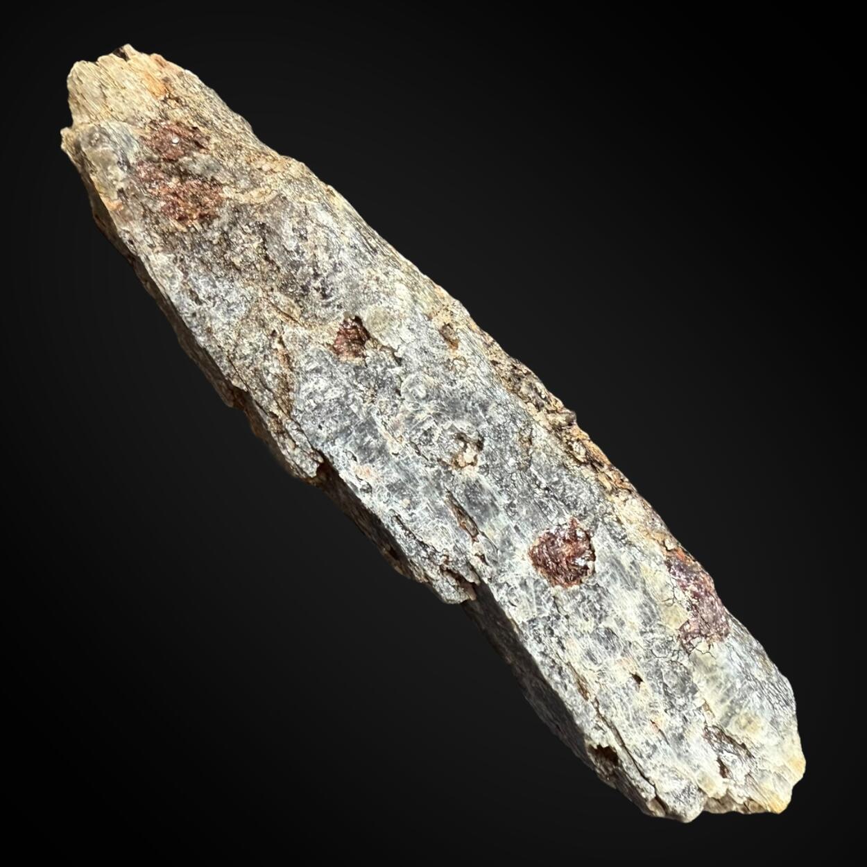 Kyanite With Almandine & Biotite