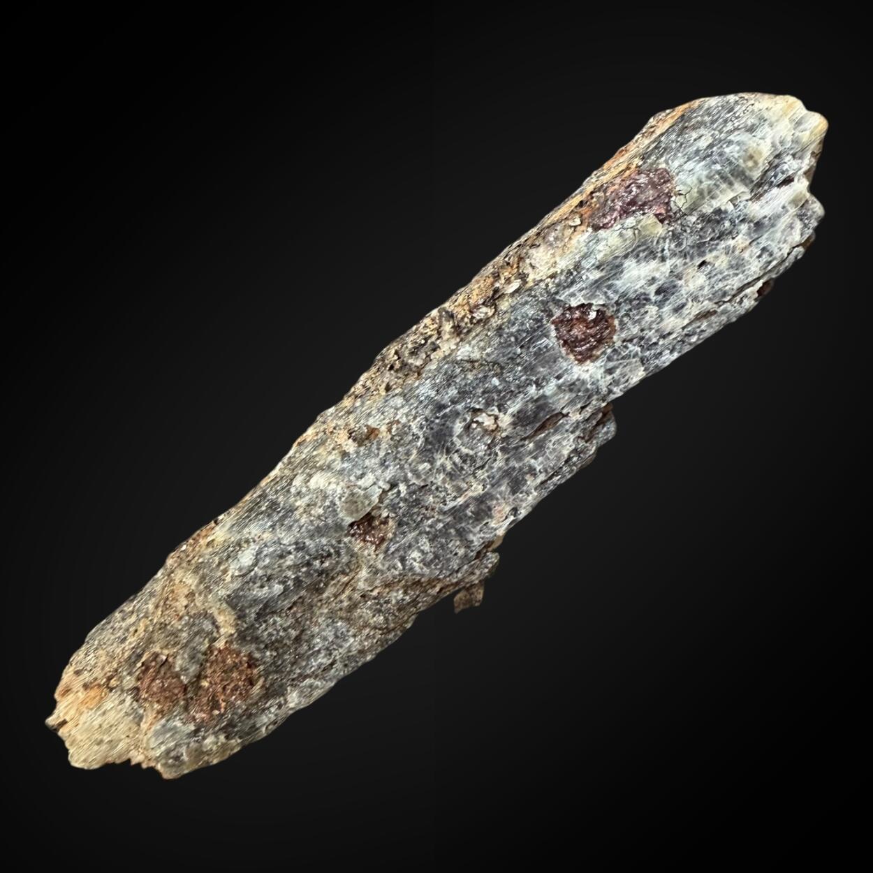 Kyanite With Almandine & Biotite