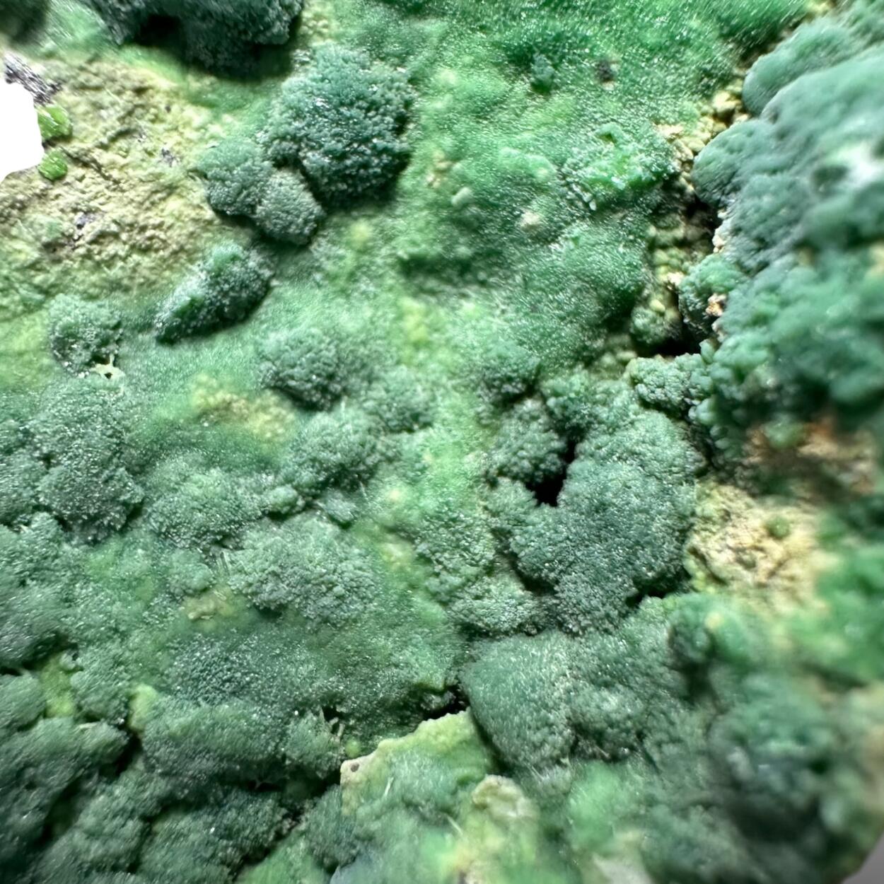 Pyromorphite