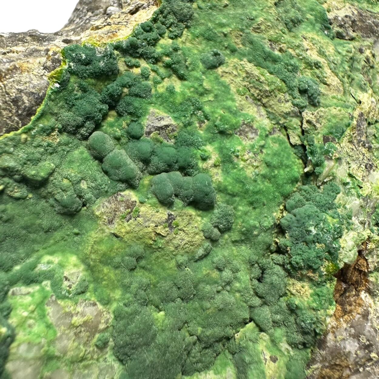 Pyromorphite
