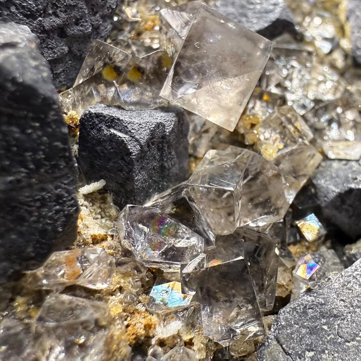 Galena With Fluorite