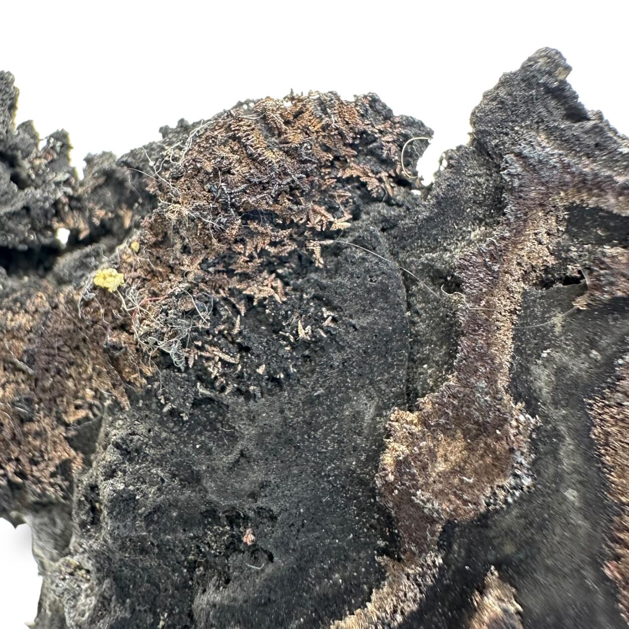 Native Silver On Native Arsenic