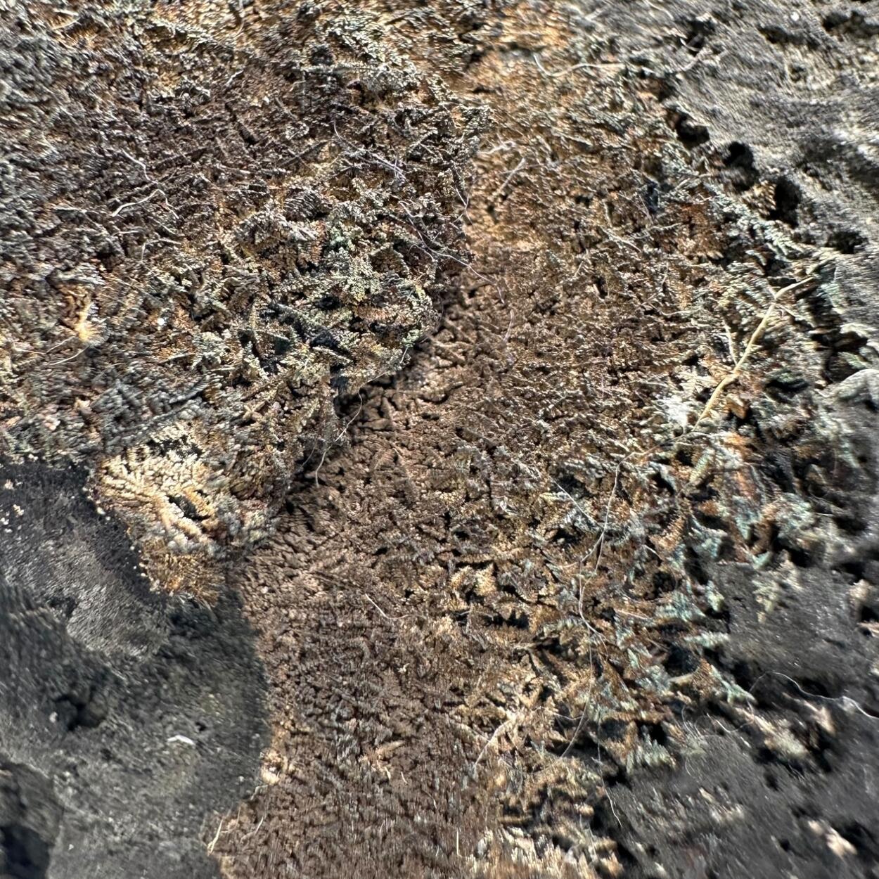 Native Silver On Native Arsenic