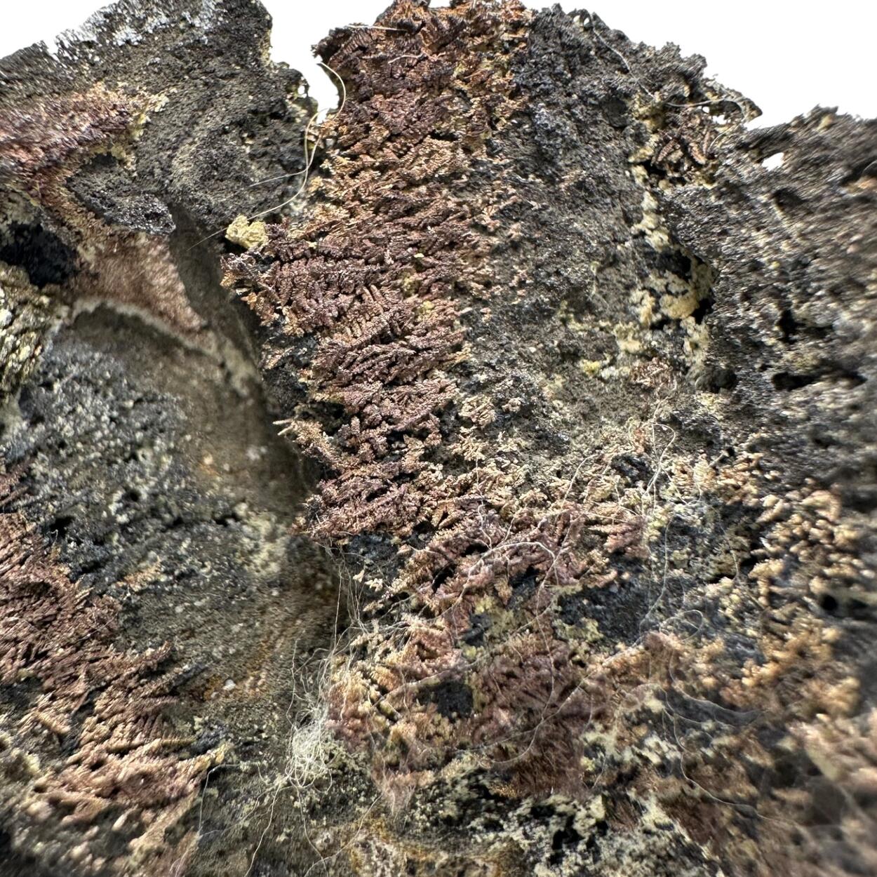 Native Silver On Native Arsenic