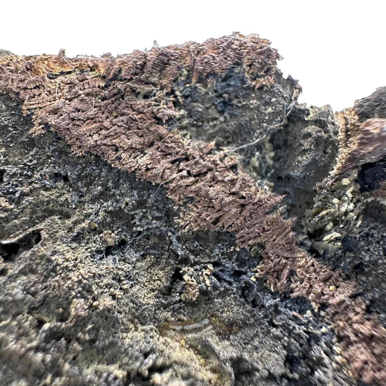 Native Silver On Native Arsenic