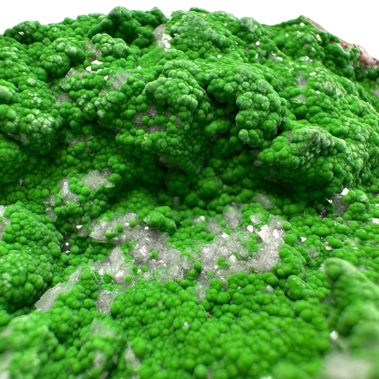 Conichalcite With Dolomite
