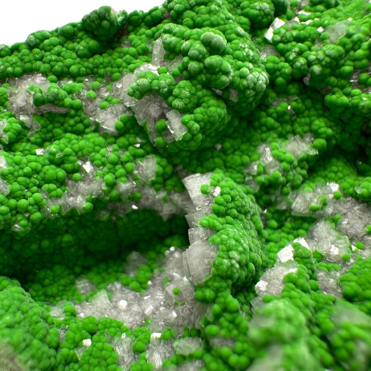 Conichalcite With Dolomite