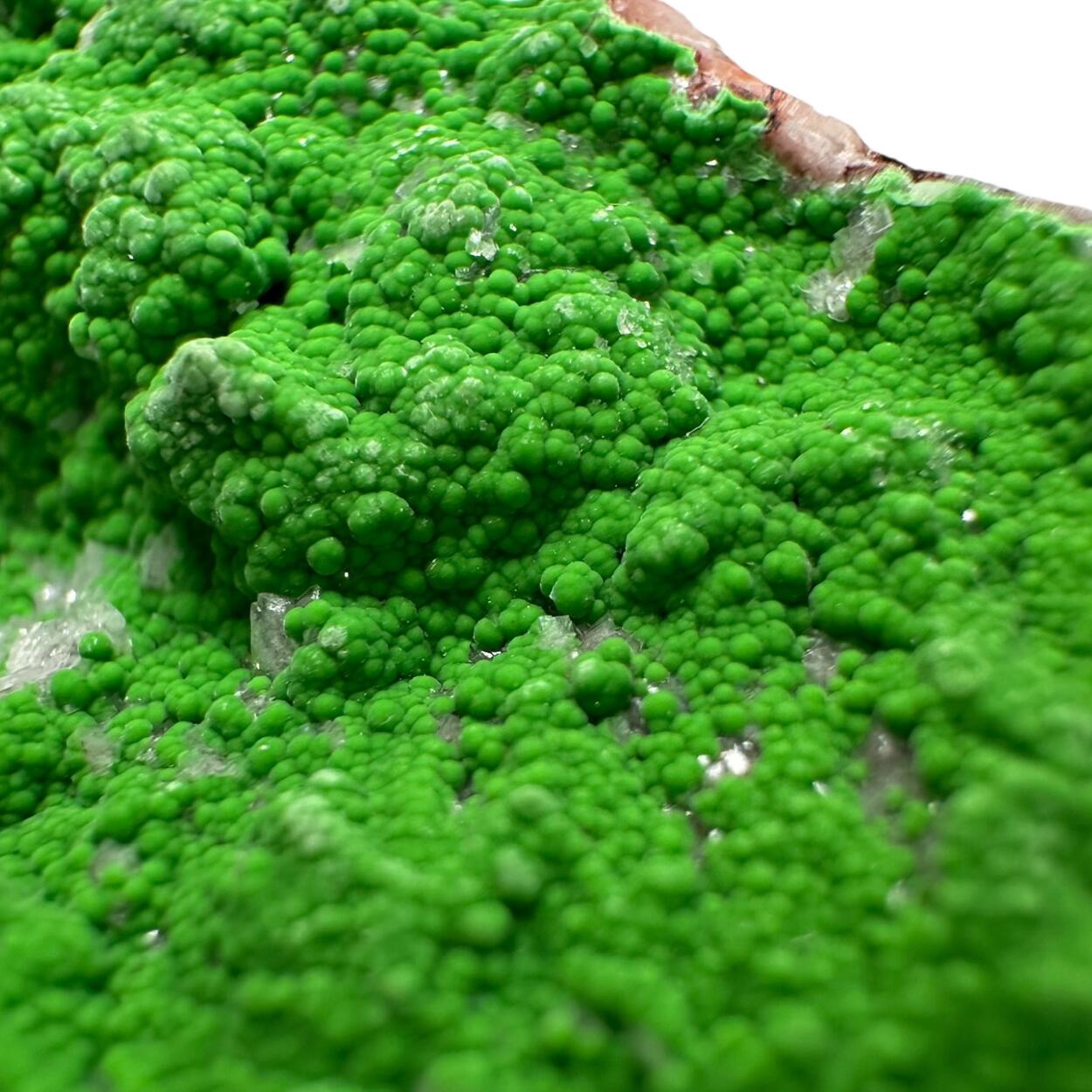 Conichalcite With Dolomite