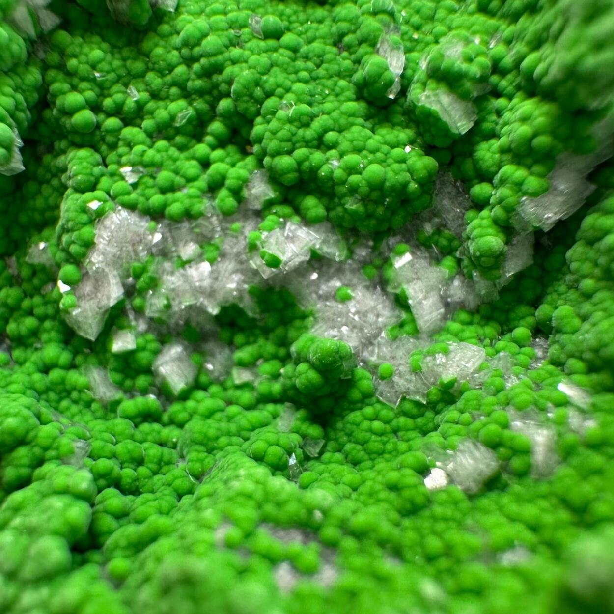 Conichalcite With Dolomite