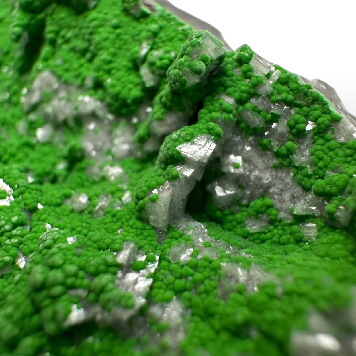 Conichalcite With Dolomite