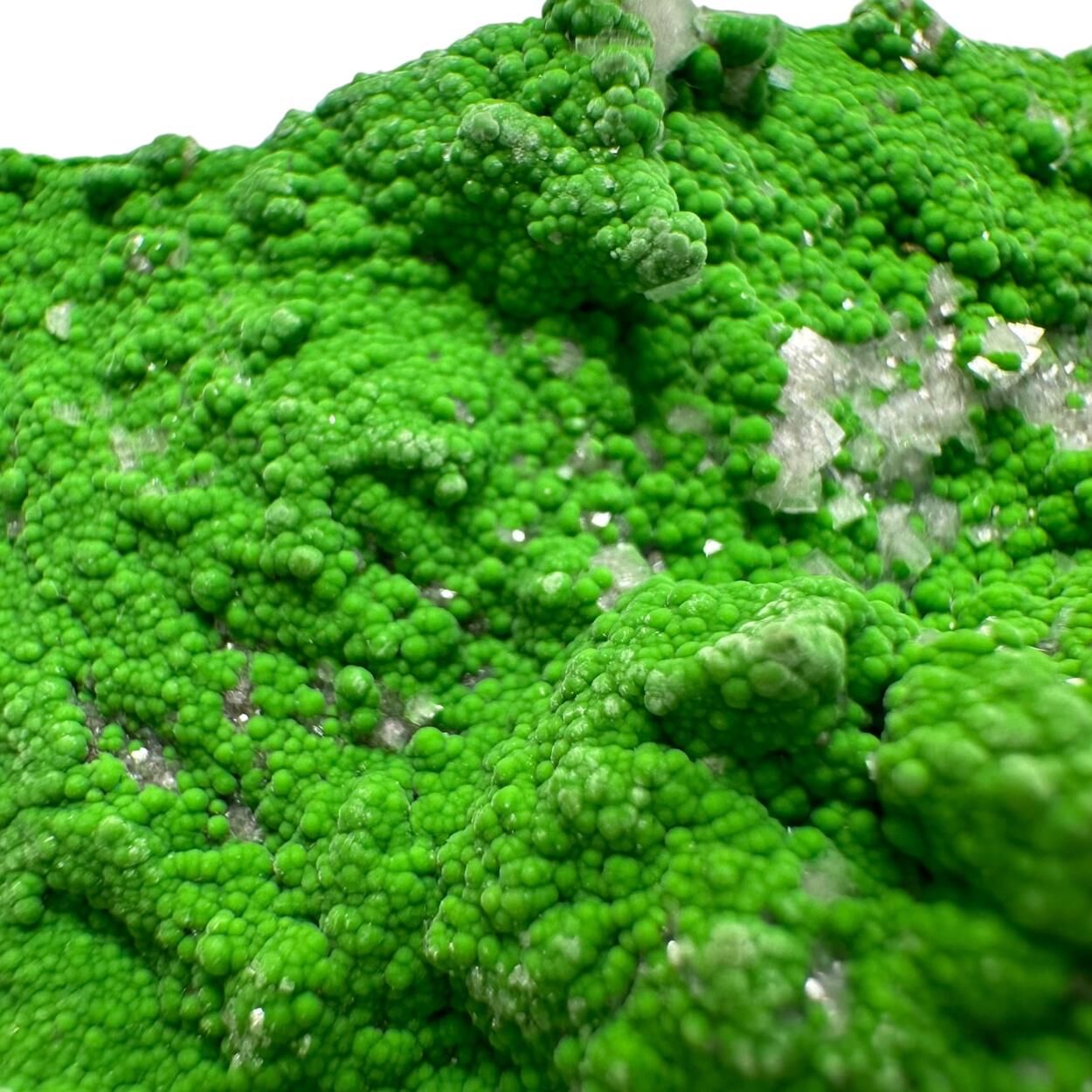 Conichalcite With Dolomite