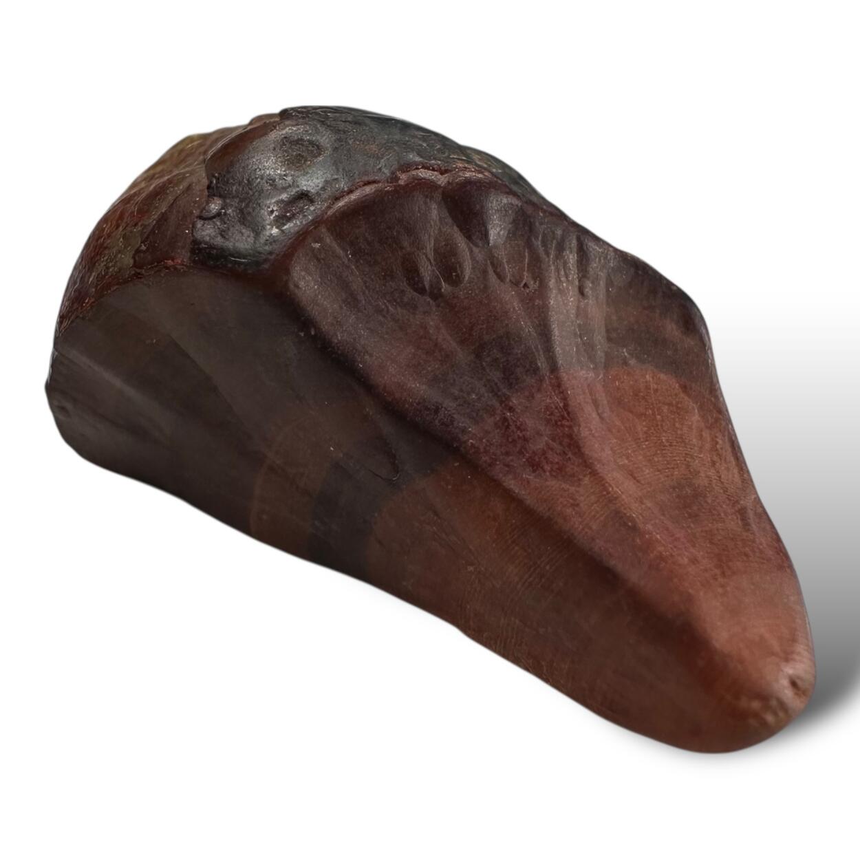 Cassiterite Var Wood Tin