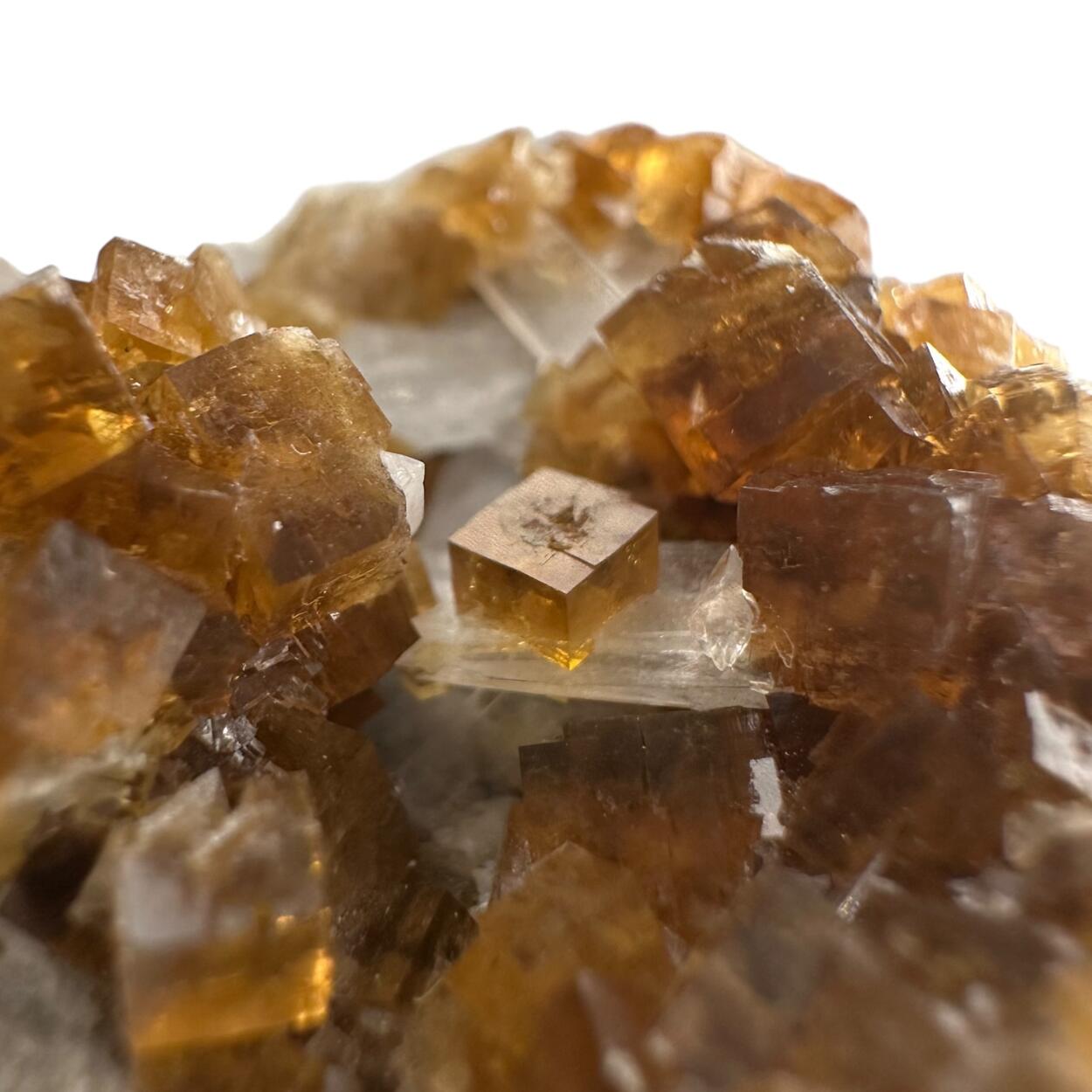 Fluorite With Celestine