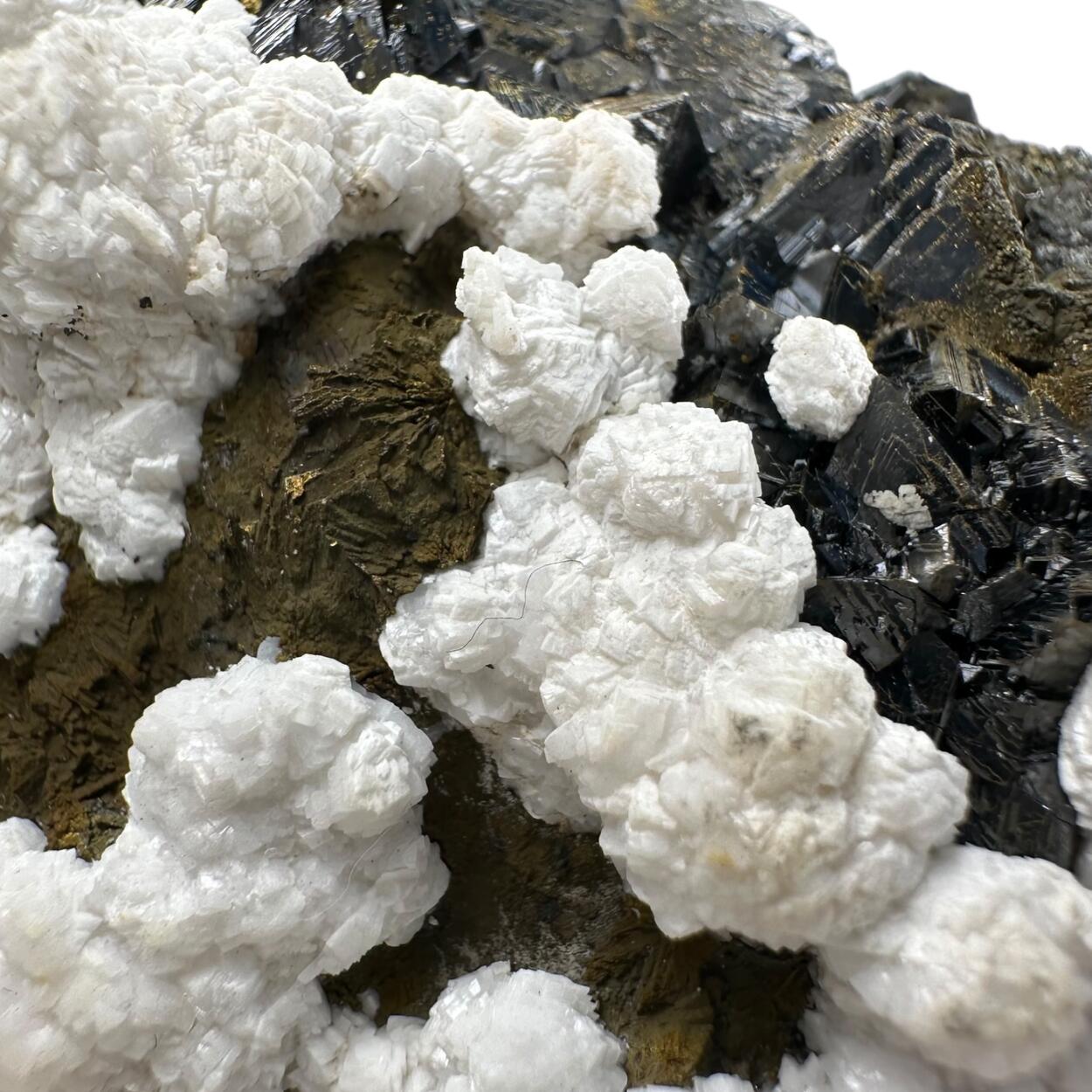 Sphalerite With Chalcopyrite & Dolomite