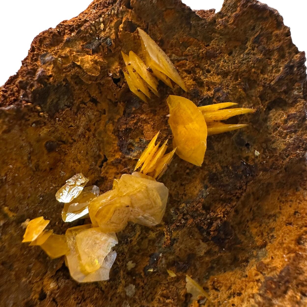Wulfenite
