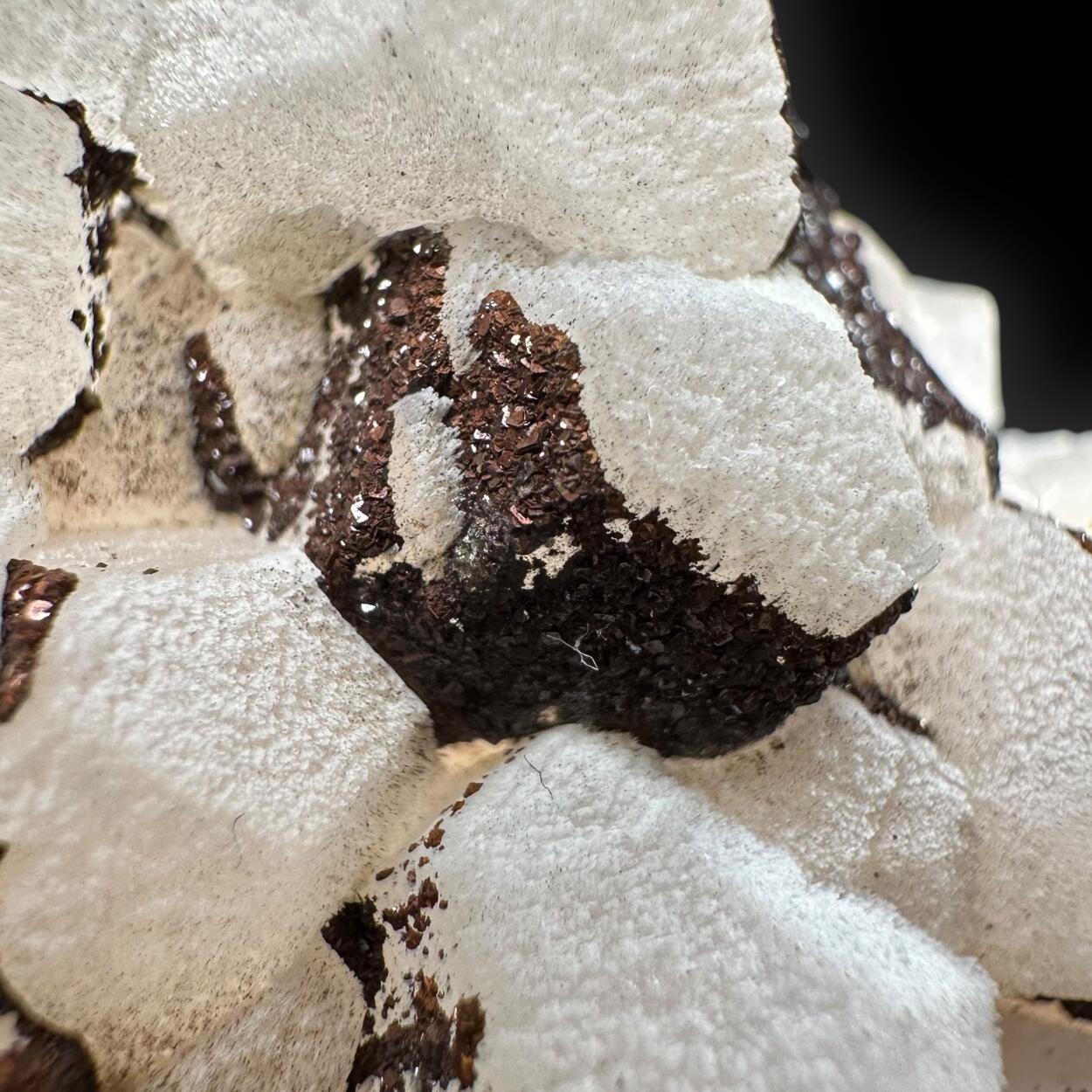 Calcite With Limonite Psm Pyrite